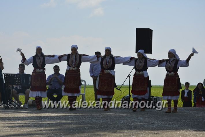 alexandriamou.gr_trikala28.5.2018060